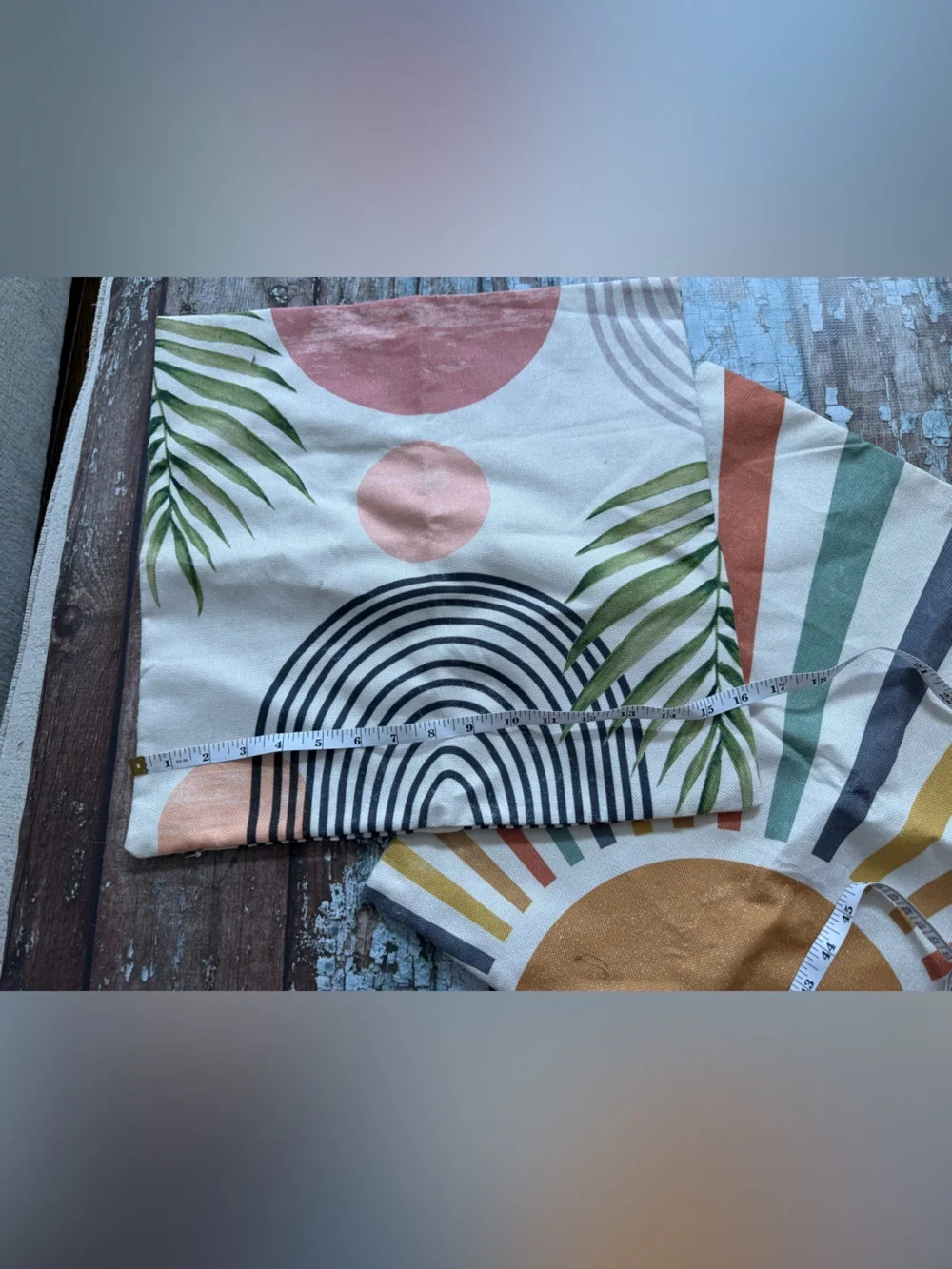 Two decorative pillow cases